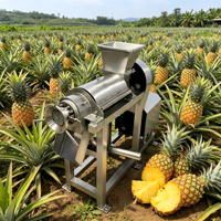 Extracteur de jus multifonctionnel à usage industriel avec protection contre les surcharges, à bas prix, pour mangue, pastèque, banane et carotte