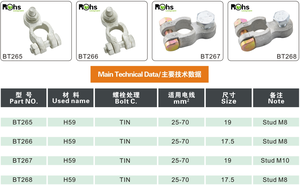 2025 di fabbrica PAI giuntura di tipo batteria per auto connettori positivi negativi morsetti a crimpare vite <span class=keywords><strong>T</strong></span> <span class=keywords><strong>YP</strong></span> E POST terminale in ottone in plastica rame - Product Image 5