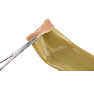 Modelo de entrenamiento de Ciencias Médicas, sutura intestinal con abrazadera de soporte para práctica de cirugía laparoscópica para estudiantes de medicina - Product Image 5