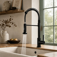 Keran Dapur Mewah Satu Gagang Warna Hitam Matte dengan Semprotan Tarik Turun dari Baja Tahan Karat untuk Wastafel Dapur.