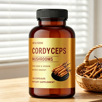 OEM/ODM Personnalisé 60 Capsules/Flacon Extrait de Cordyceps Sinensis Soutien Immunitaire Énergie Boost Capsules Végétaliennes pour la Santé des Articulations Usage Adulte
