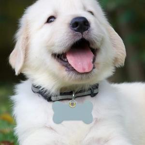 YY Stock Metal Pet Bone ID Tag Portable PU Leather Pet ID Tag Hanger Reutilizable <span class=keywords><strong>Dog</strong></span> Cat ID Badge - Product Image 5