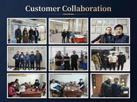 Máquina de conformado de alambre CNC 2D con personalización de sistema operativo multilingüe, solución personalizada para doblado de alambre metálico, dobladora de alambre 2D