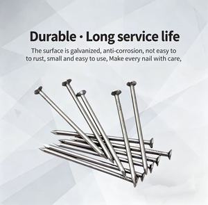 Clous en <span class=keywords><strong>fil</strong></span> de fer standard de 1 à 6 pouces pour la construction et le charpente - Product Image 2