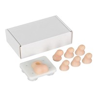 Modèle de formation à la circoncision infantile - Simulateur d'enseignement médical avec 5 plaques de prépuce remplaçables pour la pratique chirurgicale