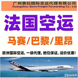 Línea Dedicada a Francia, Transporte Marítimo Puerta a Puerta, Guangzhou a Le Havre, Vehículos Eléctricos y Baterías, Línea Especial para Europa - Product Image 2
