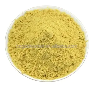 Chicken flavor seasoning powder supplier sale best tasty chicken bouillon powder