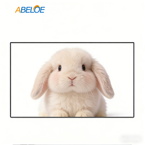 แผง LCD TFT ของแท้ LM238WF5-SSA2 23.8นิ้ว FHD 1920 × 1080 IPS 250nits LVDS 30Pin IN-cell Touch LCD - Product Image 1