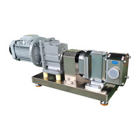 Pompe à rotor - Pompe professionnelle de transport de liquides et de pâtes. Modèles personnalisables disponibles.