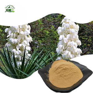 動物飼料用サルサポニンユッカ粉末100% 植物エキスユッカシディゲラエキス30%-60% - Product Image 4