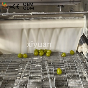 Machine de <span class=keywords><strong>fusion</strong></span> et de recouvrement automatique de chocolat haute précision pour la production en atelier de biscuits, amandes, noix de cajou et snacks - Product Image 5