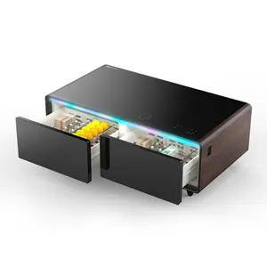 2024 New Products Unique Smart Coffee Table with Built in Speaker Fridge Metal Carton 1 Piece Living Room Furniture Modern R600A