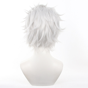 Ainizi วิกผมคอสเพลย์สั้นสีขาว-เทา <span class=keywords><strong>Hajime</strong></span> emiya - Product Image 5