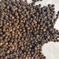 Premium Kwaliteit Natuurlijke Piper Nigrum Gedroogde Vruchten Hele Spice Zwarte Peper