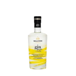 Bán buôn 500ml 750ml rõ ràng in nhãn/đề can Tequila Brandy Vodka Gin Rum Whisky Whisky Thủy Tinh Rượu chai