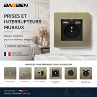 Prise murale standard française en aluminium brossé laiton antique BAOBEN, prise électrique vintage pour la maison avec port de charge USB Type-C
