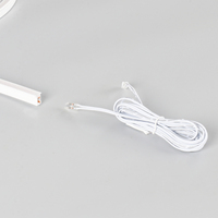 Éclairage extérieur pour entrepôts, éclairage paysager, lumières nocturnes, bande LED néon en silicone, 12/24V, indice de protection IP67, garantie de 5 ans, 95 CRI