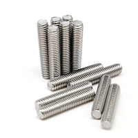 Fasteners 4" M100 M75 M52 M30 Hastelloy C276 N10276 2.4819 Stud Bolt C/w 2 Heavy Hex Nuts