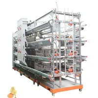 Automatic Pullet Cage for Quail, Rear Chicks Cages
