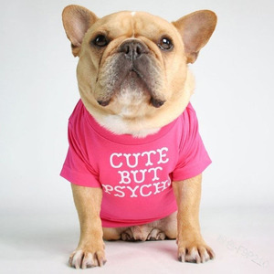 Transferts thermiques amusants pour chiens pour T-shirts, vente en gros à bas <span class=keywords><strong>prix</strong></span>, T-shirt tendance, gilet pour chien, panier pour chien, T-shirt en coton - Product Image 3