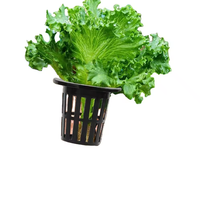 Panier de culture hydroponique et aquaponique Bainer pour fixation des racines, panier de plantation pour système NFT, panier de culture hors-sol à profil bas