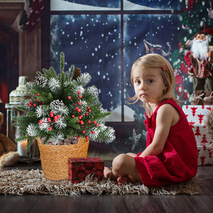 Árbol de Navidad Artificial de Primera Calidad para Camino de Entrada, Personalizado para Decoración de Entrada, Porche, Patio, Jardín y <span class=keywords><strong>Puerta</strong></span> Principal - Product Image 5