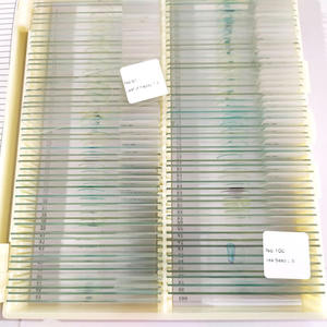 Tallo de alta calidad macerado de portaobjetos de vidrio de microscopio de calabaza portaobjetos de microscopio preparados - Product Image 4