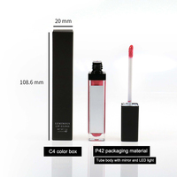 Rouge à lèvres liquide imperméable végétalien de haute qualité avec logo personnalisé Tubes de brillant à lèvres vides non collants Lumière LED Brillant à lèvres avec miroir
