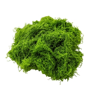 LUYI - Musgo Sphagnum Artificial en Maceta, Musgo de Turba Verde, Decoración de Pared para Oficina, Venta al Por Mayor - Product Image 6