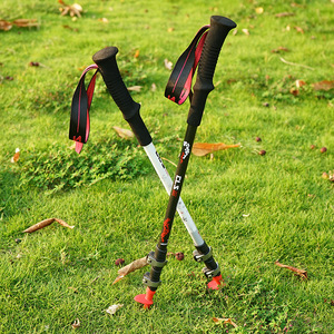 Bastón de Trekking de Fibra de <span class=keywords><strong>Carbono</strong></span> para Exteriores, Ligero, con Bloqueo Exterior de Fibra, Telescópico, para Senderismo, Montañismo y Escalada - Product Image 5