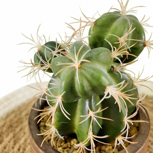 Plante artificielle en pot de <span class=keywords><strong>cactus</strong></span> à épines de haute qualité, bonsaï, verdure, plante artificielle décorative pour la décoration de bureau - Product Image 3