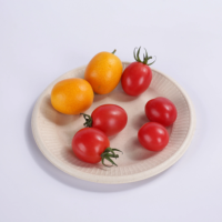 Vaisselle biodégradable écologique plateau de nourriture et ensemble de récipients assiettes de bagasse pour le camping