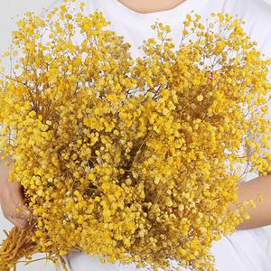 Nuevo 2026, Flor Seca Preservada, Gypsophila <span class=keywords><strong>Paniculata</strong></span>, Recuerdos de Boda, Decoración de Pared, Día de la Madre, Navidad - Product Image 3