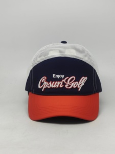 Gorra de Béisbol Curva 3D Personalizada con Marca, 5 Paneles, Perfil Bajo, Cierre a Presión, Deportiva, Unisex, 100% Algodón - Product Image 1