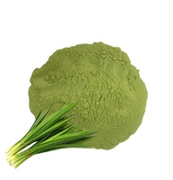 Fournir de la poudre de coriandre de haute qualité Échantillon gratuit Poudre de pandan Meilleur prix en vente