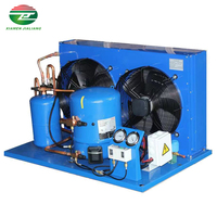 Unités de Condensation Économes en Énergie pour Usage Commercial, Réfrigérateur-Congélateur Intégré avec Compresseur Scroll, Moteur et Pompe – Écologique et Haute Performance