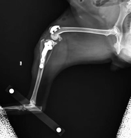 Conjunto de Instrumentos Quirúrgicos Veterinarios para Rodilla, Sistema PGR de Reemplazo de Ranhura Troquelar Rotuliana, Implante Ortopédico de Titanio