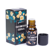 Diffuseur d'huiles essentielles naturelles pures 10 ml, humidificateur, brumisateur, désodorisant, parfum longue durée, maison, bureau