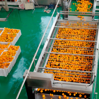 Ligne complète de traitement du jus d'orange et d'agrumes, lave-fruits automatique, extracteur de jus, stérilisation UHT, remplissage, projet clé en main