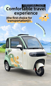 Triciclo Eléctrico Totalmente Cerrado <span class=keywords><strong>para</strong></span> Uso Doméstico, Scooter de Movilidad Pequeño <span class=keywords><strong>para</strong></span> Mujeres, Cámara de Reversa, Motor de Subida, Gran Espacio - Product Image 5