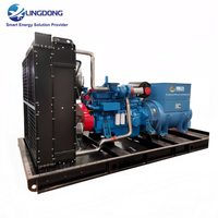 Groupe électrogène professionnel personnalisé de 400 kW au gaz naturel, groupe électrogène de secours de 500 kVA, Yuchai YC6TF1020N-D30 pour usine