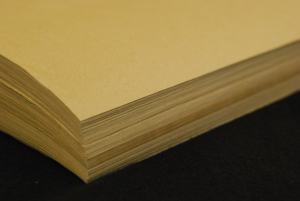 Papier de <span class=keywords><strong>test</strong></span> de germination des graines A4 pour l'évaluation du taux de germination et la culture des graines végétales - Product Image 3