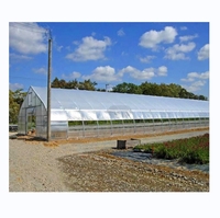 Serre tunnel agricole à portique unique, serre de culture en forme d'arche, serre haute pour pépinière