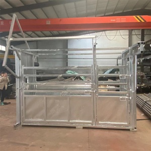 Aplastamiento de ganado de alta resistencia, con balanza de pesaje o no - Product Image 4