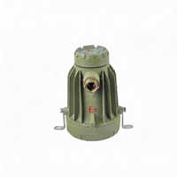 Projecteur antidéflagrant IP66 pour inspection de réservoirs, éclairage industriel pour l'inspection de cuves et de navires