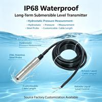 Transmisor de Nivel Hidrostático Sumergible de Acero Inoxidable 316L, Sensor de Nivel de Agua IP68 para Pozos Profundos, Depósitos y Tanques, Personalizable