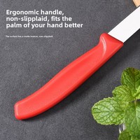 5Cr15 roestvrijstalen fruitmes van 3,5 inch met PP-handvat, schilmes in rood/blauw/zwart, multifunctioneel mes voor babyvoeding