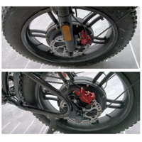 DISIYUAN Elektrikli Dağ Bisikleti Super S11 1000W Çift Jantlı Motor 48V Lityum Güçlü Çelik Kalın Lastikli MTB Elektrikli Bisiklet