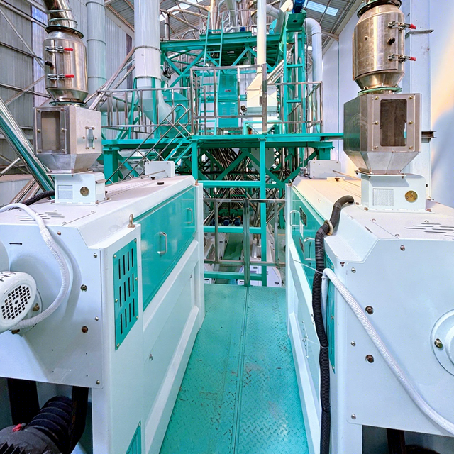 Maize Degerminator Machine High Capacity Germ Removal Equipment for Maize Flour Milling
