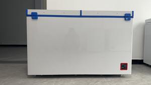 Congelador Horizontal Solar de Acero Inoxidable de 358L, 12/24V, <span class=keywords><strong>Precio</strong></span> de Fábrica en <span class=keywords><strong>Argentina</strong></span>, para Uso Comercial y en Supermercados - Product Image 2